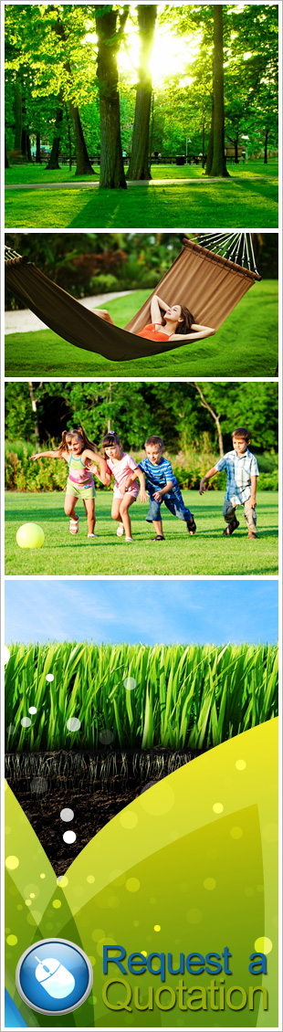 instant lawn pretoria